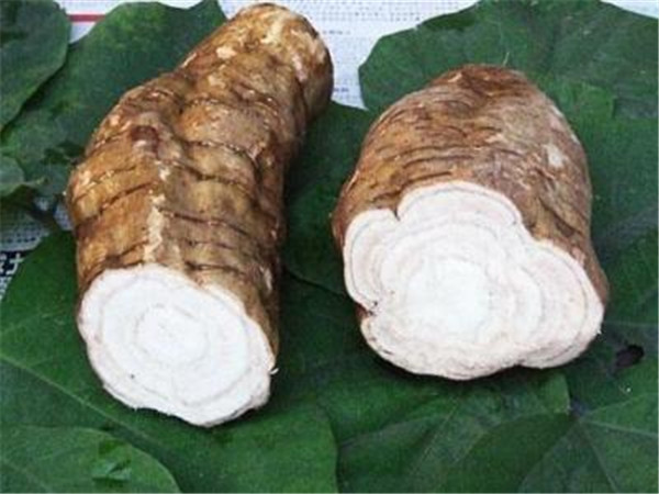 11.經期女性補血吃什么好3.jpg 11.經期女性補血吃什么好3.jpg