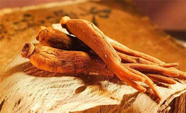 7.補血養氣的食物推薦1.jpg